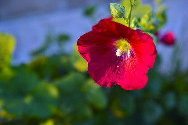 Similar image 21434519