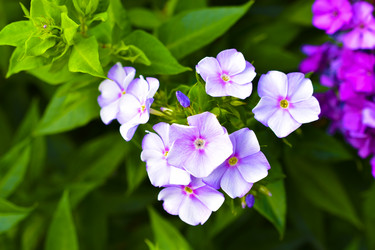 Similar image 21434520