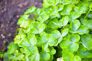 Similar image 21434525