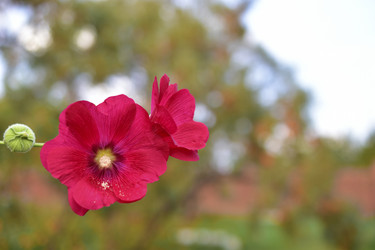 Similar image 21434530