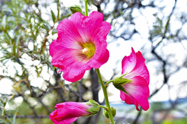 Similar image 21434531