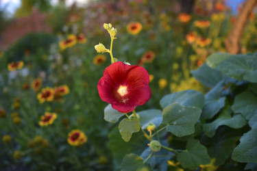 Similar image 21434532