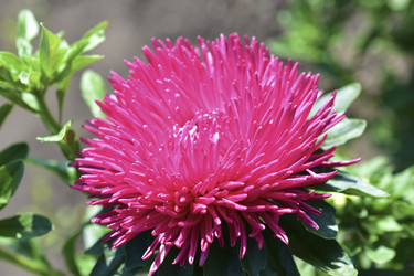 Similar image 21434541