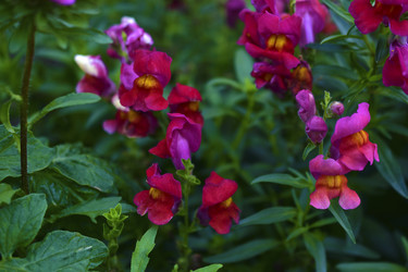 Similar image 21434542