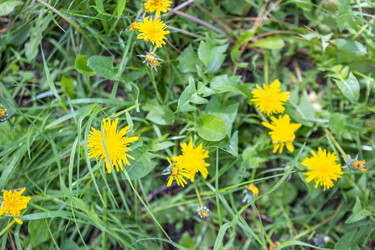 Similar image 21433859