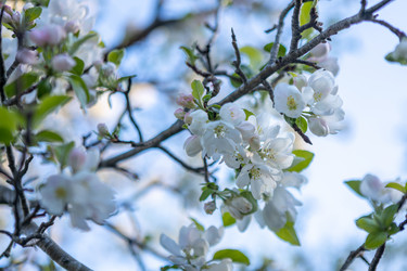 Similar image 21433861