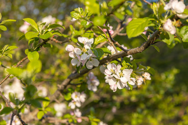 Similar image 21433862