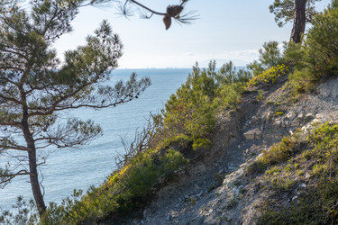 Similar image 21433864