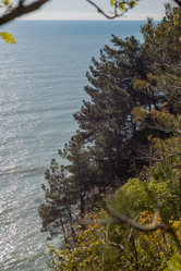 Similar image 21433865