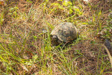 Similar image 21433866