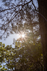 Similar image 21433867