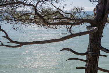 Similar image 21433868