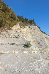 Similar image 21433870