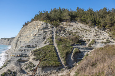 Similar image 21433871