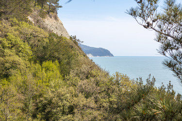 Similar image 21433874