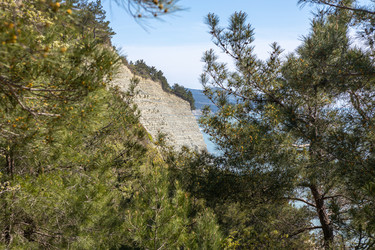 Similar image 21433875