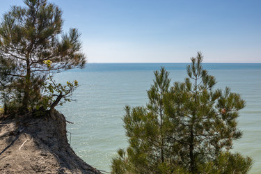 Similar image 21433876