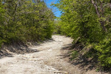 Similar image 21433878