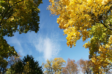 Similar image 21434034