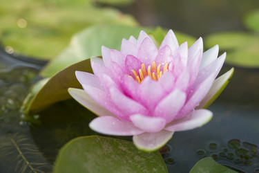 Similar image 21434545