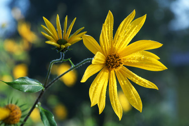 Similar image 21434546