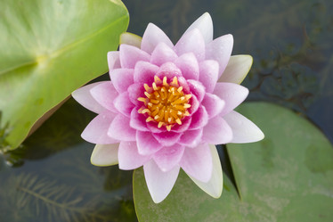 Similar image 21434547