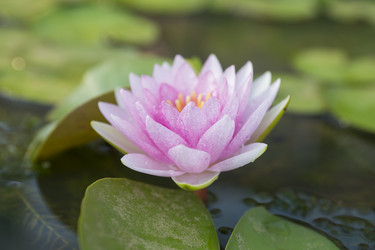 Similar image 21434548