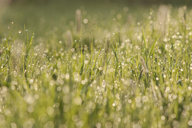 Similar image 21434551