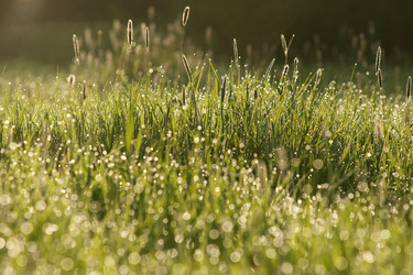 Similar image 21434552