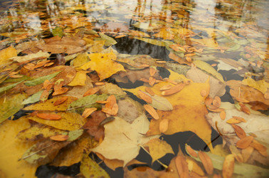 Similar image 21434553