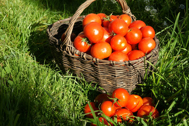 Similar image 21434554