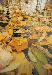 Similar image 21434555