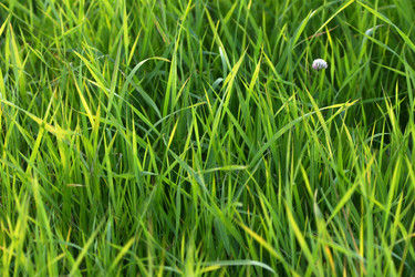 Similar image 21434556