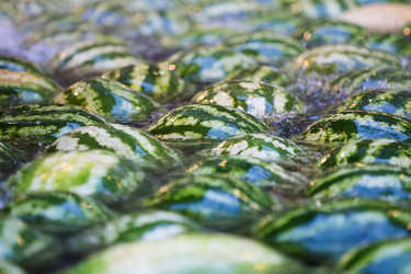 Similar image 21434558