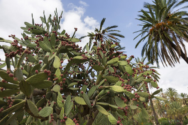 Similar image 21434559