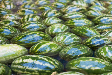 Similar image 21434560