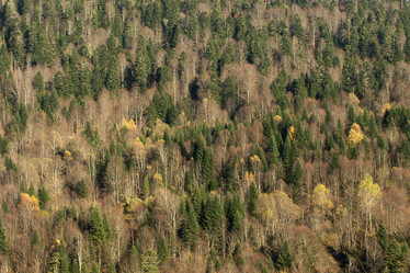 Similar image 21434562