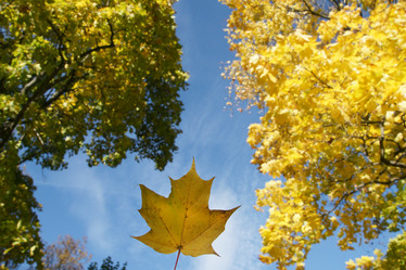 Similar image 21434563