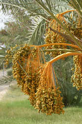 Similar image 21434565