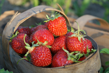 Similar image 21434566