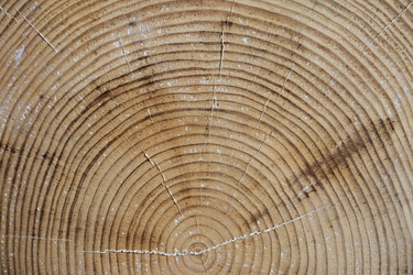 Similar image 21434567