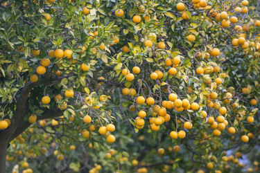 Similar image 21434568