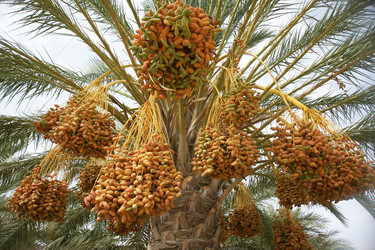 Similar image 21434569