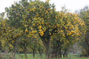 Similar image 21434570