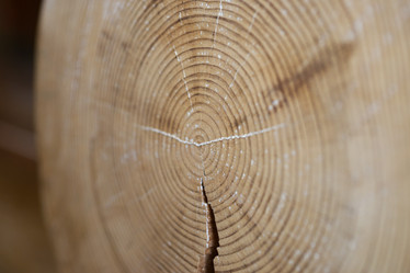 Similar image 21434571