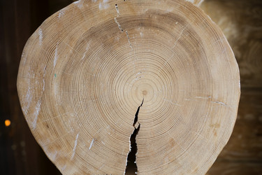 Similar image 21434573