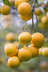 Similar image 21434574