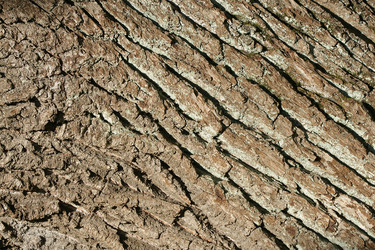 Similar image 21434575