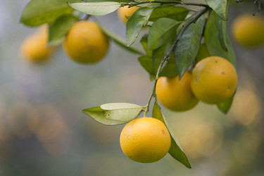 Similar image 21434576