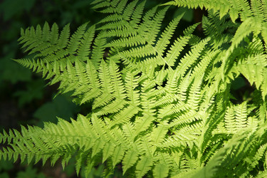 Similar image 21434577